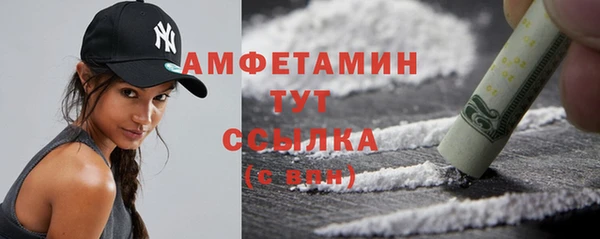 метадон Богданович