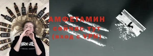 метадон Богданович
