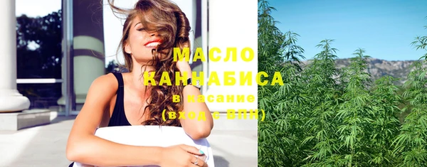 метадон Богданович